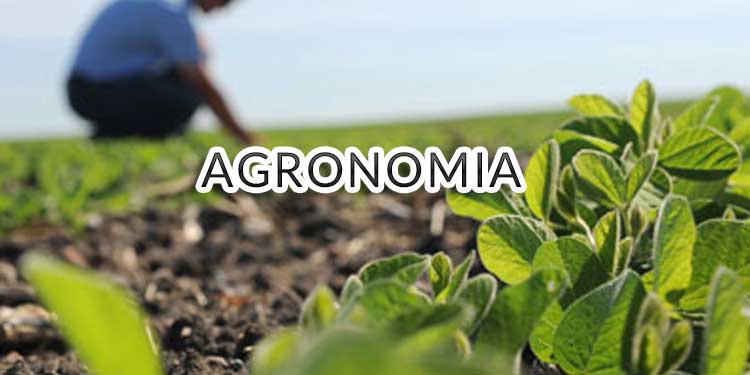 Agronomia