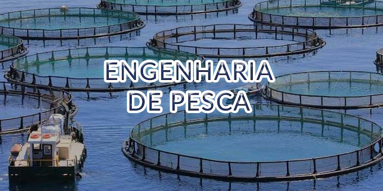 Engenharia de Pesca