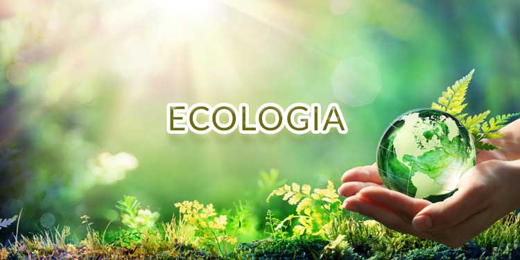 Graduação em Ecologia