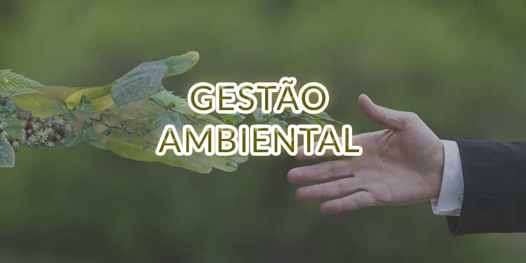 Graduação em Gestão Ambiental