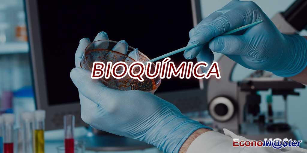 Graduação em Bioquímica