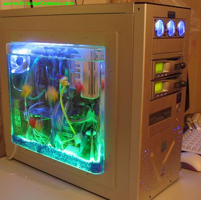 O Computador - o que tem dentro dele?