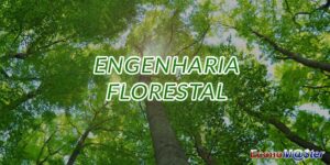 Engenharia Florestal