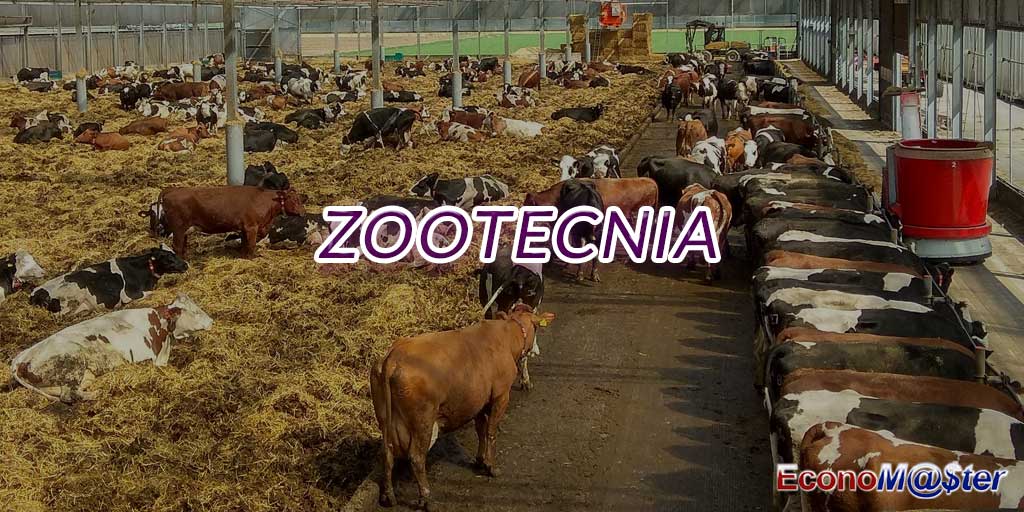 Graduação em Zootecnia